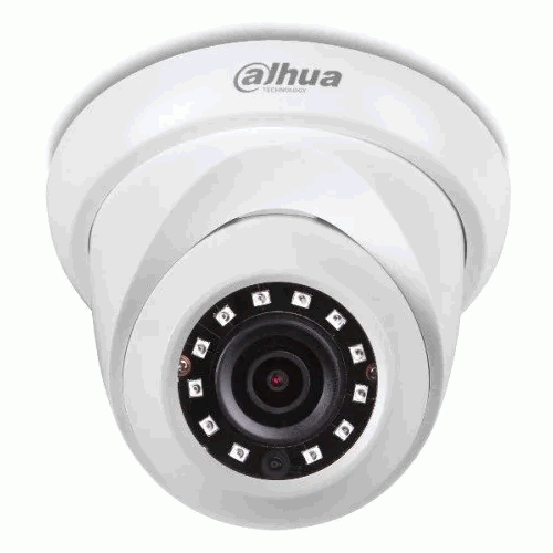 Dahua DH-IPC-HDW1230S-S5 2MP IR Dome Network Camera