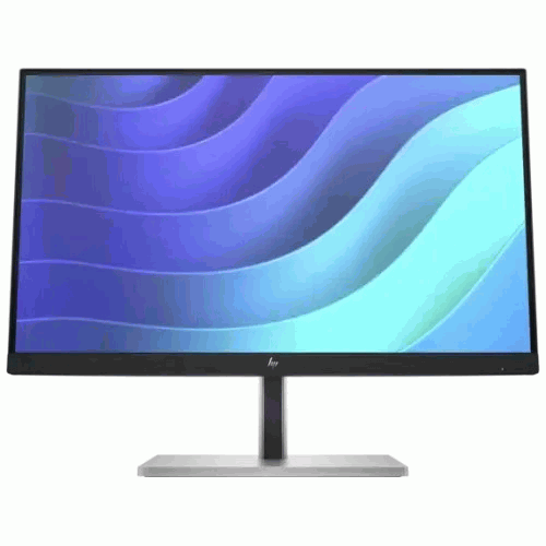 HP E22 G5 21.5 inch FHD IPS Monitor