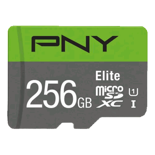 PNY Elite 256GB Class-10 Micro SD Memory Card